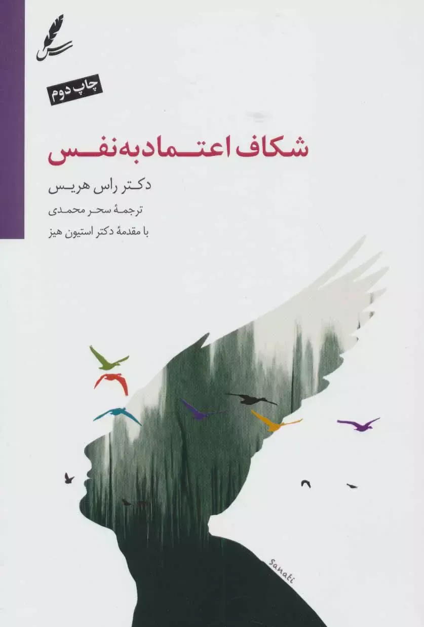 کتاب شکاف اعتماد به نفس از استیون هیز - راس هریس